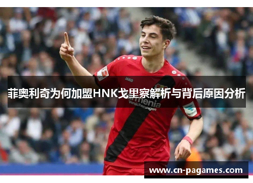 菲奥利奇为何加盟HNK戈里察解析与背后原因分析