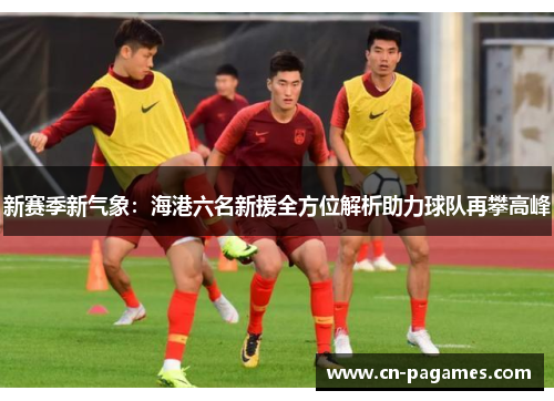 新赛季新气象：海港六名新援全方位解析助力球队再攀高峰
