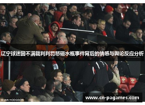 辽宁球迷因不满裁判判罚怒砸水瓶事件背后的情感与舆论反应分析
