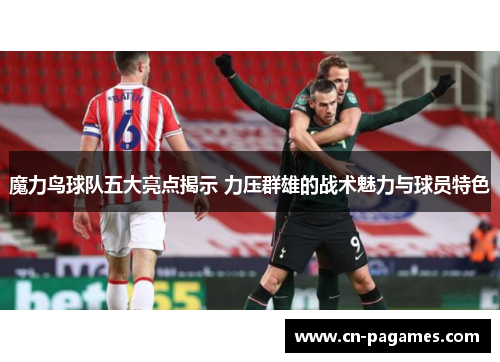 魔力鸟球队五大亮点揭示 力压群雄的战术魅力与球员特色