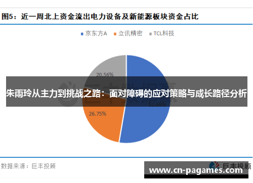朱雨玲从主力到挑战之路：面对障碍的应对策略与成长路径分析