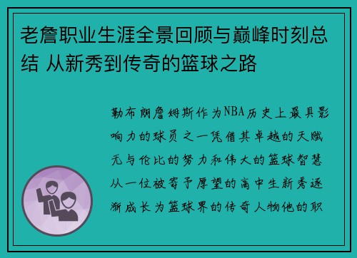 老詹职业生涯全景回顾与巅峰时刻总结 从新秀到传奇的篮球之路