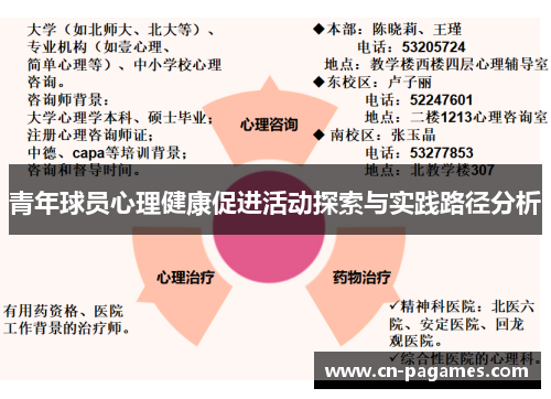 青年球员心理健康促进活动探索与实践路径分析