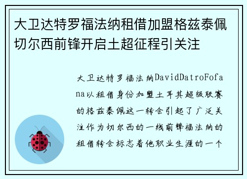 大卫达特罗福法纳租借加盟格兹泰佩切尔西前锋开启土超征程引关注