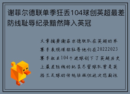 谢菲尔德联单季狂丢104球创英超最差防线耻辱纪录黯然降入英冠 谢菲尔德联单季狂丢104球创英超最差防线耻辱纪录黯然降入英冠